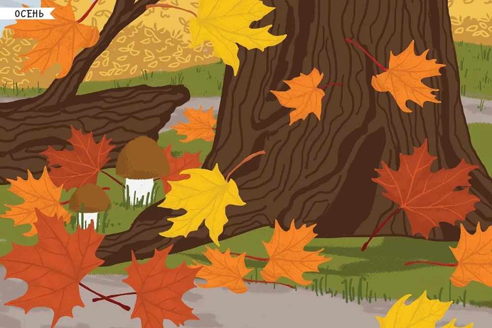 Mein Stickerbuch. Insekten