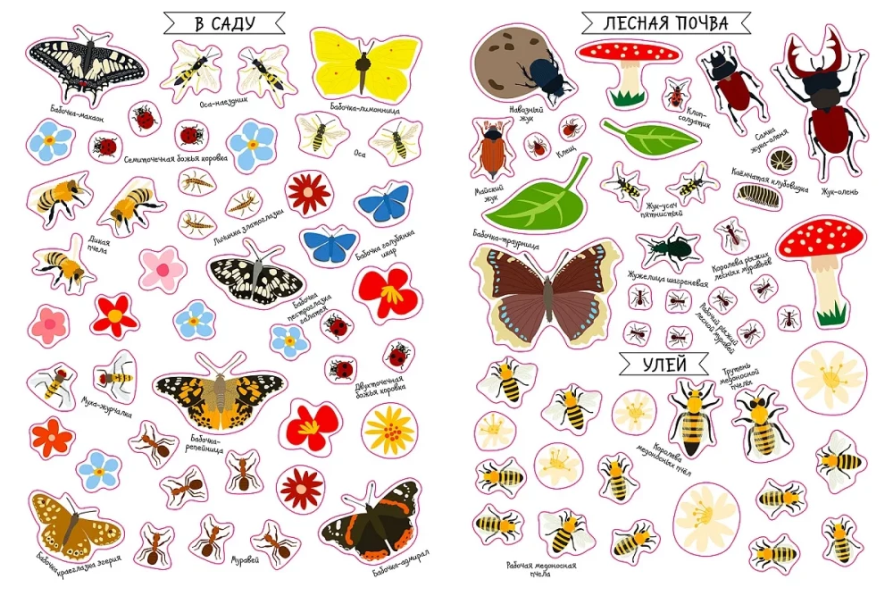 Mein Stickerbuch. Insekten