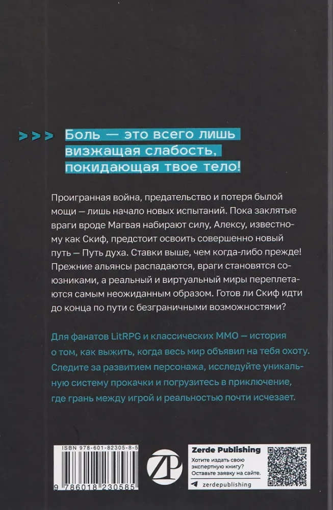 Дисгардиум. Книга 6. Путь духа