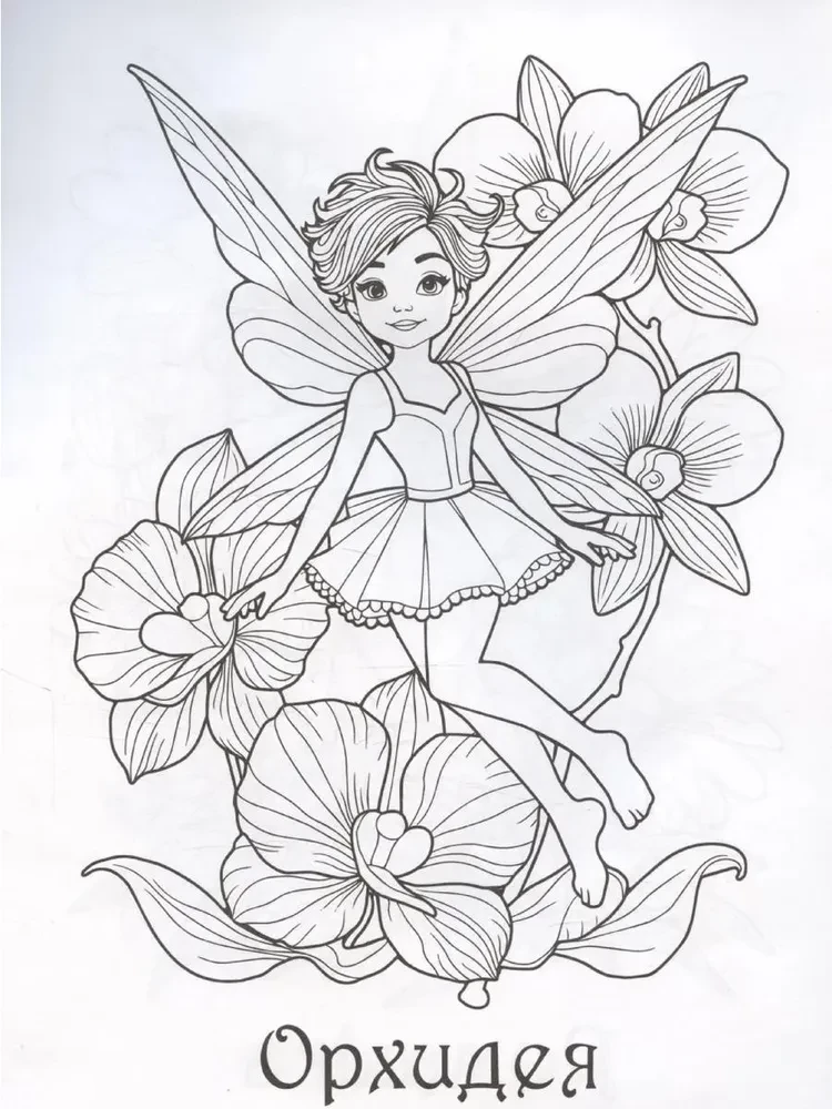 Fairies of Flowers