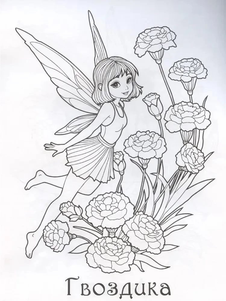 Fairies of Flowers