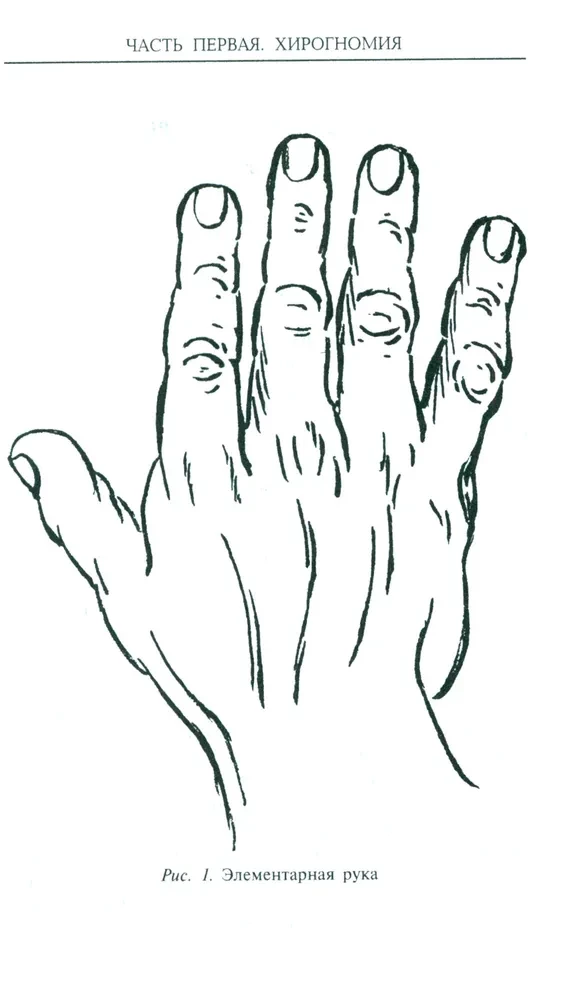 Хиромантия — искусство чтения судьбы. Толкование знаков на ладони от древности до наших дней