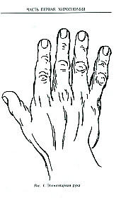 Хиромантия — искусство чтения судьбы. Толкование знаков на ладони от древности до наших дней