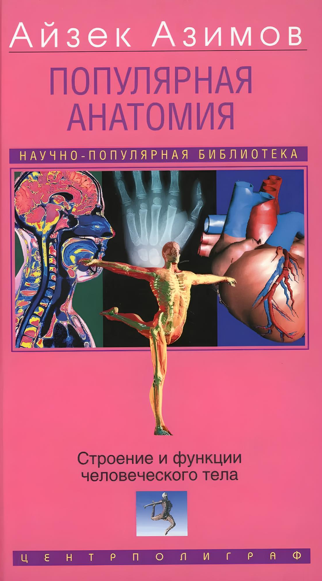Popularna anatomia. Budowa i funkcje ciała ludzkiego