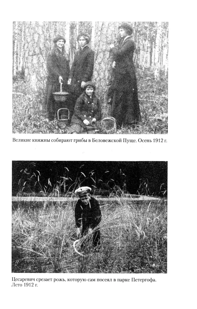 Na dworze Mikołaja II. Wspomnienia nauczyciela carewicza Aleksieja. 1905—1918