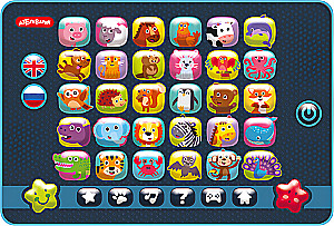 Musical Toy - Tablet. Zoo Quiz