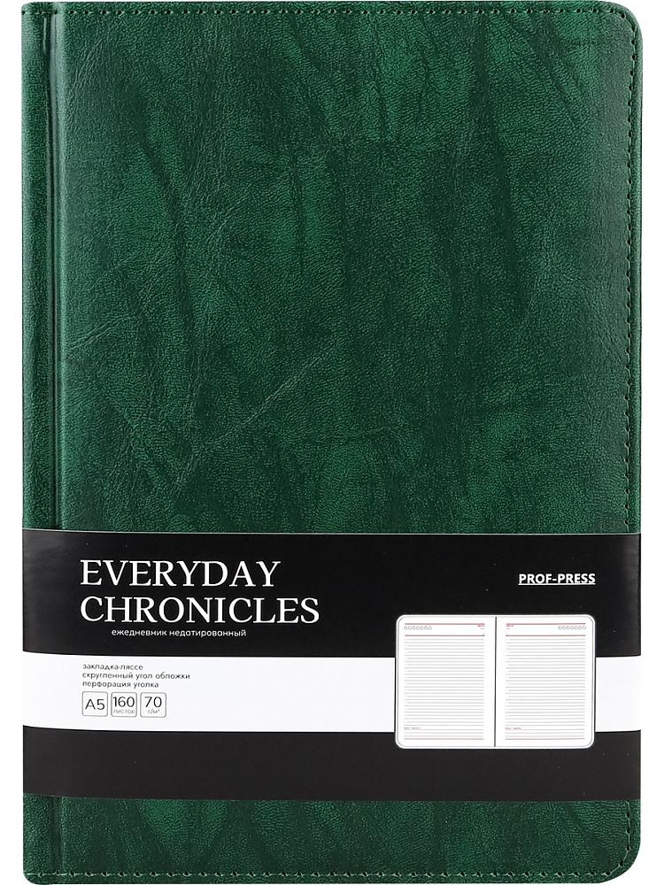 Päevik A5 Everyday Chronicles — Emerald, kuupäevata, 160 lehte, roheline
