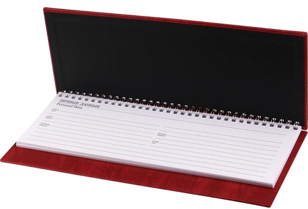 Planer niedatowany - Everyday Chronicles — Czerwony, 56 stron, czerwony