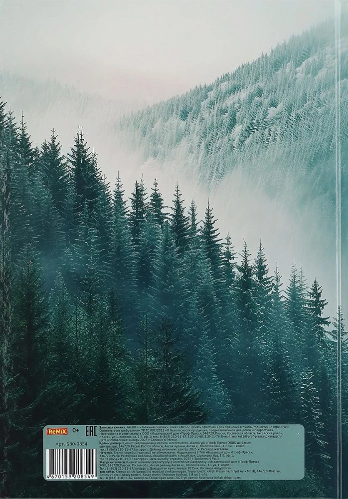 Записная книжка A4 - Таёжный пейзаж, 80 листов