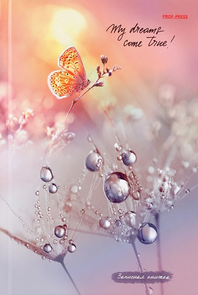 Записная книжка A5 - Капли росы, 80 листов