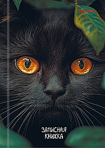 Записная книжка A6 - Взгляд чёрного кота, 96 листов