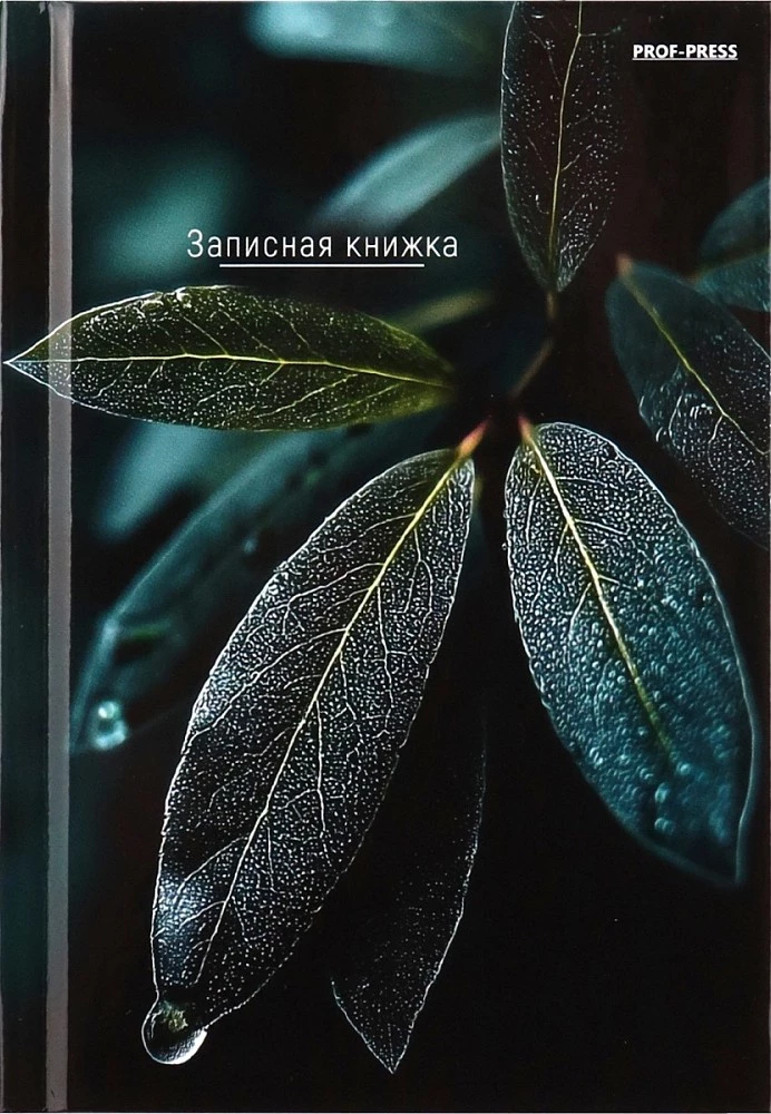 Записная книжка A6 - Листья – 1, 64 листа