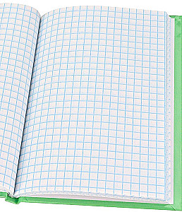 Записная книжка A6 - Капибара – 2, 64 листа