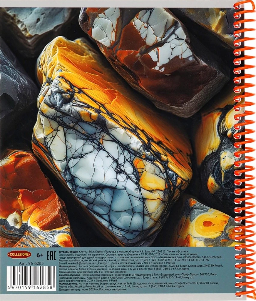 Notes A5 - Natura w makro, 96 kartek, kratka, w asortymencie