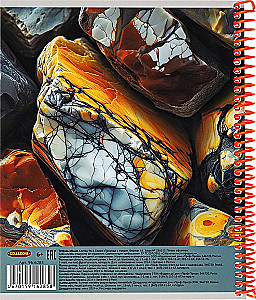 Notes A5 - Natura w makro, 96 kartek, kratka, w asortymencie