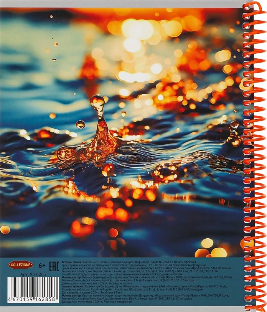 Notes A5 - Natura w makro, 96 kartek, kratka, w asortymencie