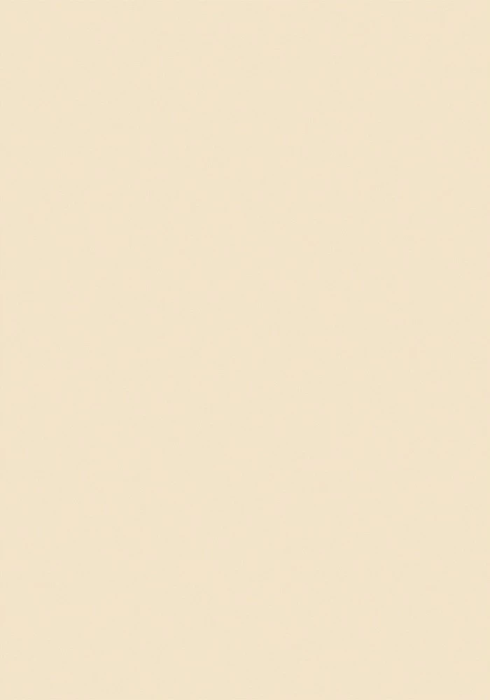 ЗАПИСНАЯ КНИЖКА. А6 64л. ЛАКОНИЧНЫЙ СТИЛЬ