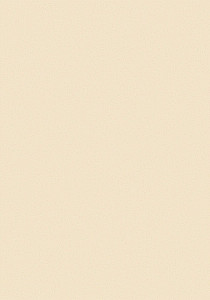 ЗАПИСНАЯ КНИЖКА. А6 64л. ЛАКОНИЧНЫЙ СТИЛЬ