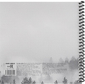 Записная книжка - Птица в тумане, 48 листов