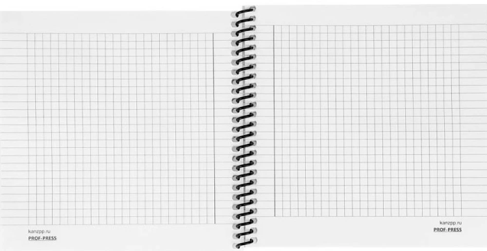 Записная книжка - Птица в тумане, 48 листов