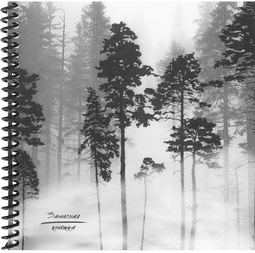 Записная книжка - Лес в тумане, 48 листов