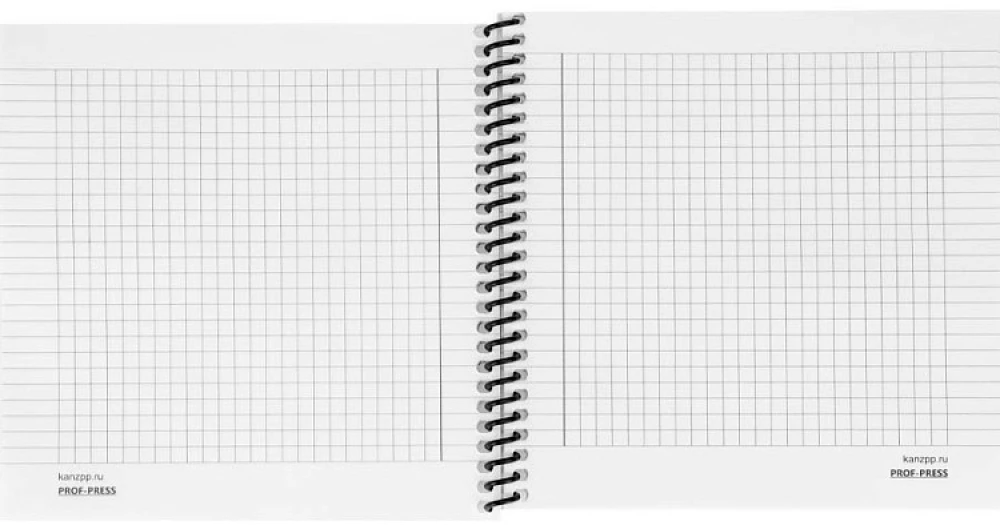 Записная книжка - Лес в тумане, 48 листов