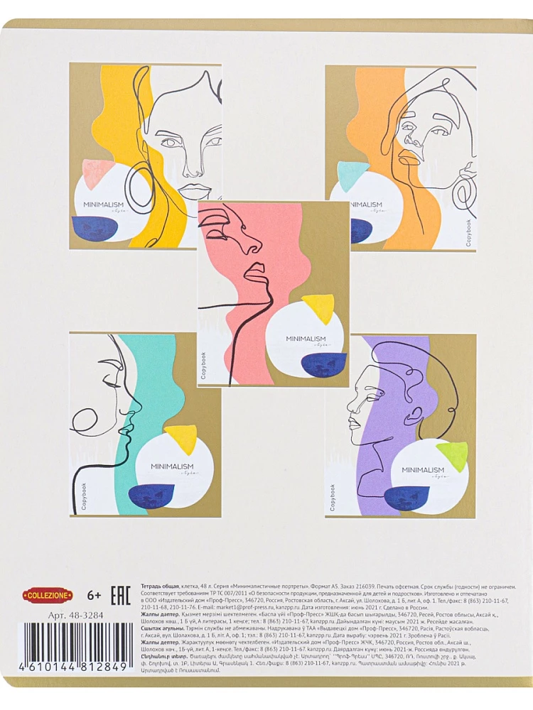 Teczka A5 - Minimalistyczne portrety, 48 stron, kratka, w asortymencie