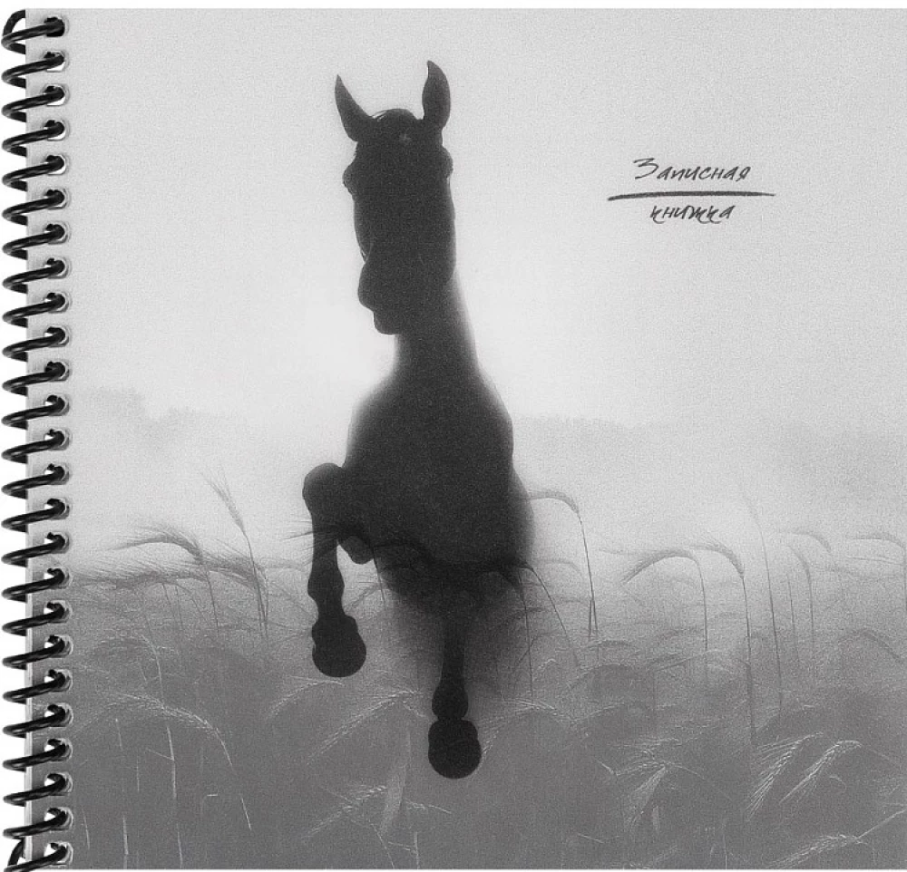 Записная книжка - Конь в тумане, 48 листов