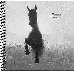 Записная книжка - Конь в тумане, 48 листов