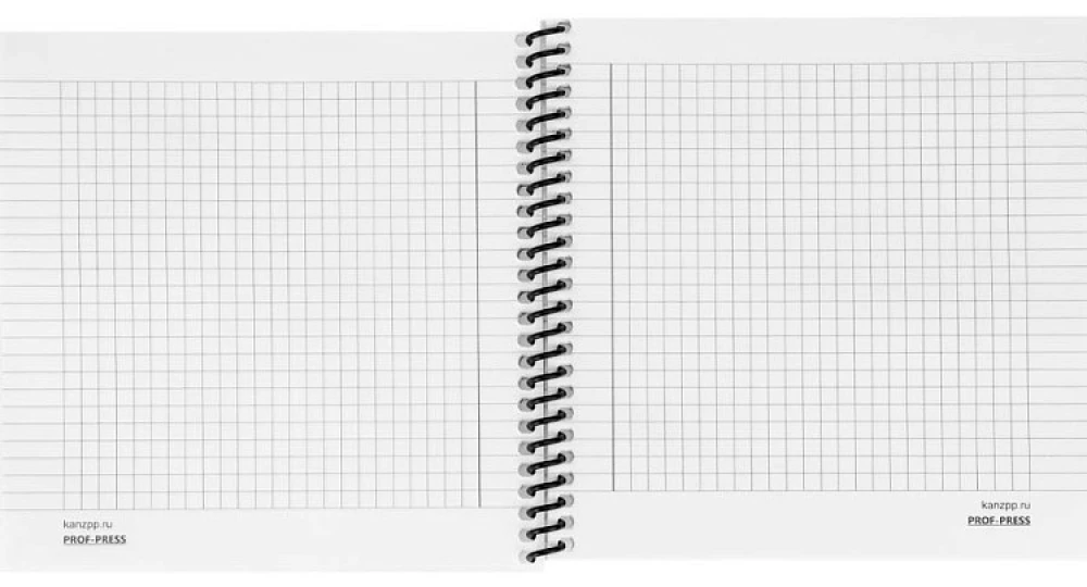 Записная книжка - Конь в тумане, 48 листов