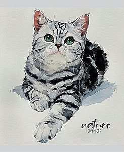 Notes A5 - Piękne koty – 1, 48 kartek, linie, w asortymencie