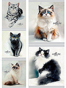 Notes A5 - Piękne koty – 1, 48 kartek, linie, w asortymencie