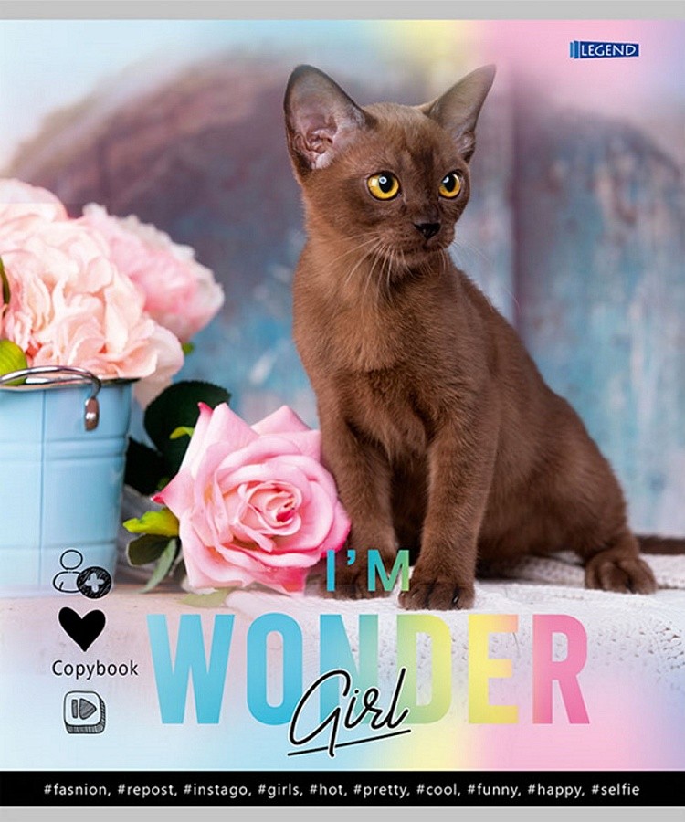 Notatnik A5 - Urocze kotki – 1, 48 stron, kratka, w asortymencie