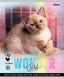 Notatnik A5 - Urocze kotki – 1, 48 stron, kratka, w asortymencie