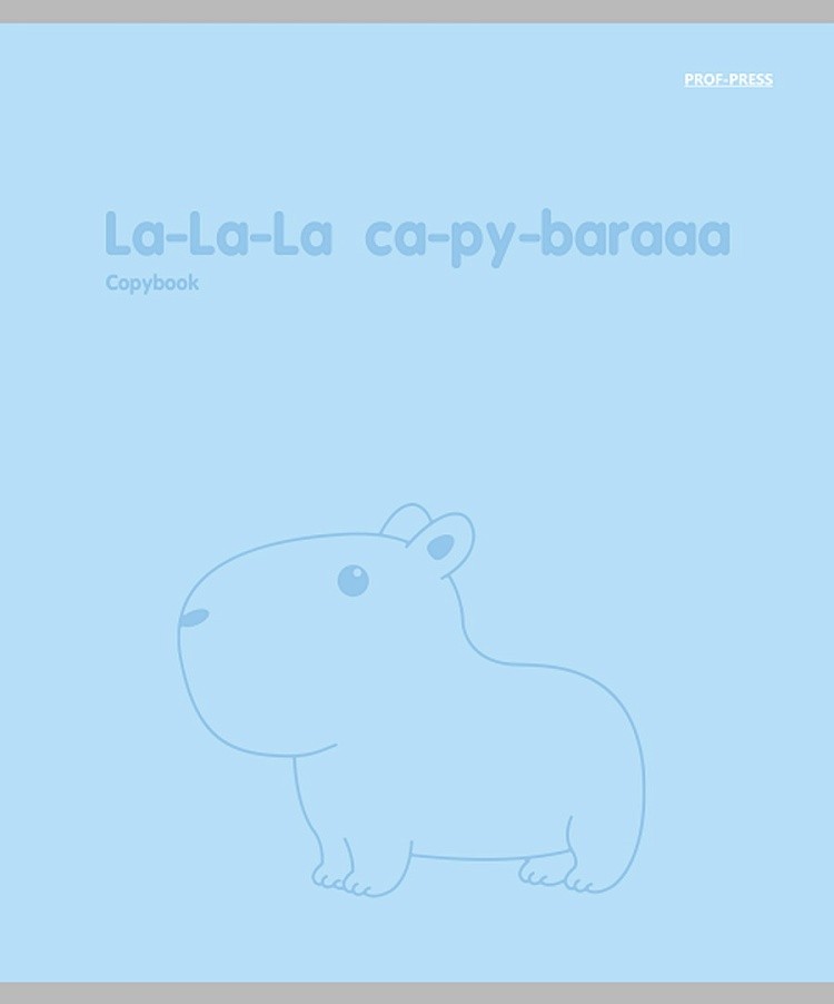 Notes A5 - Kapibara, 48 kartek, kratka, w asortymencie