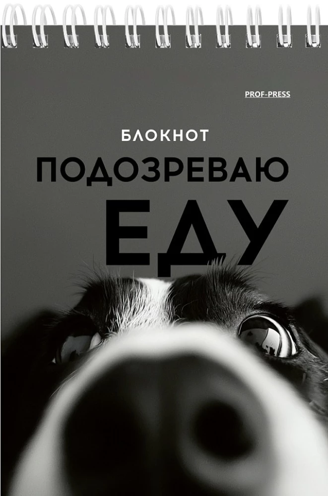 Notatnik A6 - Śmieszne zwierzęta, 40 stron, w asortymencie