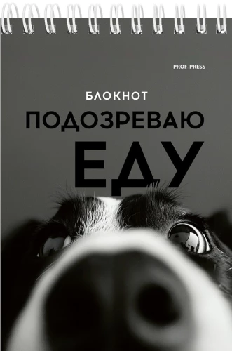 Блокнот A6 - Смешные питомцы, 40 листов, в ассортименте