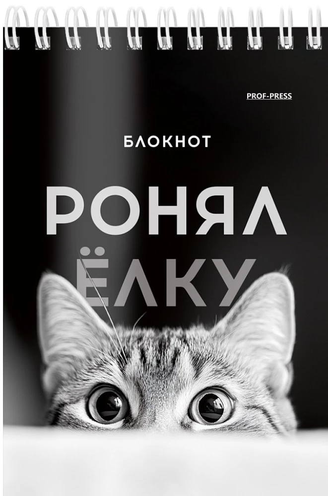 Notatnik A6 - Śmieszne zwierzęta, 40 stron, w asortymencie