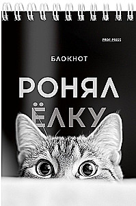 Notatnik A6 - Śmieszne zwierzęta, 40 stron, w asortymencie