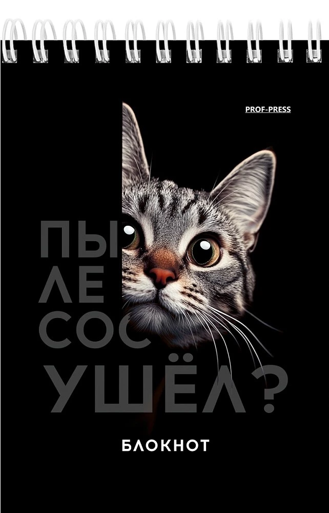 Notatnik A6 - Śmieszne zwierzęta, 40 stron, w asortymencie