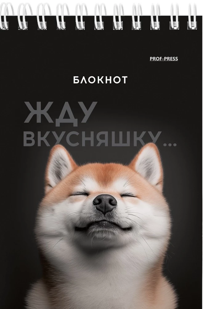 Notatnik A6 - Śmieszne zwierzęta, 40 stron, w asortymencie