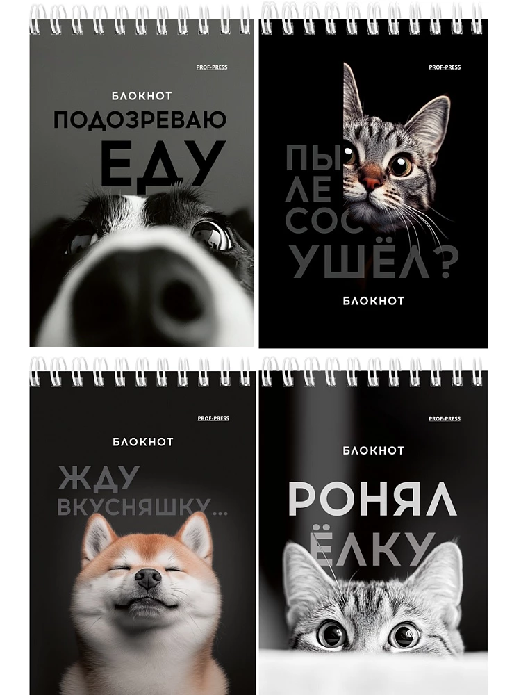 Notatnik A6 - Śmieszne zwierzęta, 40 stron, w asortymencie