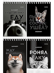 Notatnik A6 - Śmieszne zwierzęta, 40 stron, w asortymencie