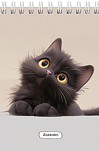 Notatnik A6 - Mały puszysty kot, 40 kartek, w asortymencie