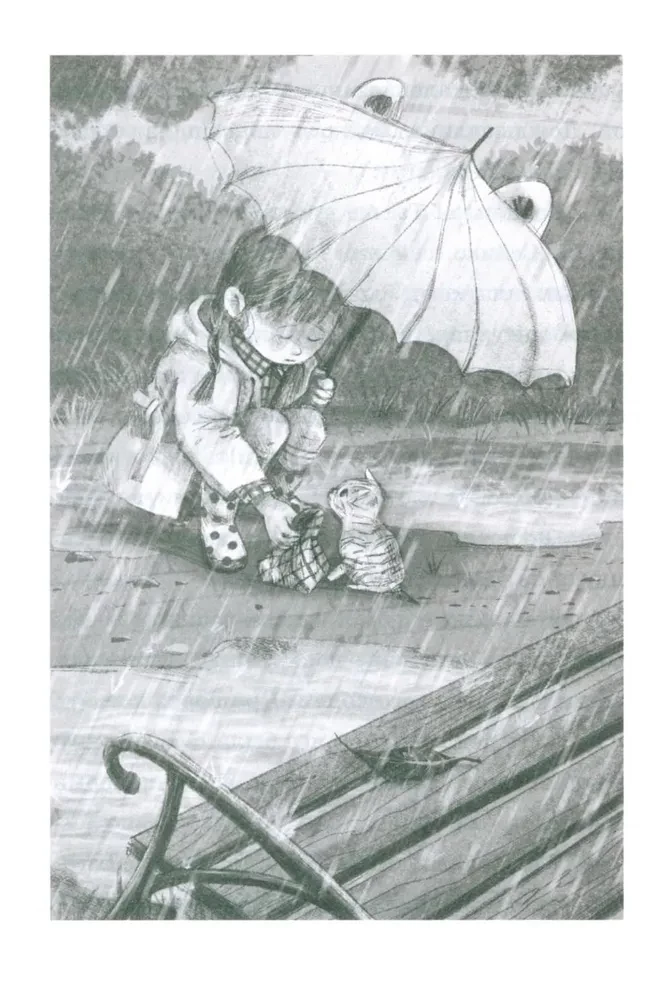 Die Sammlung flauschiger Geschichten. Miau! Drei Geschichten über Kätzchen