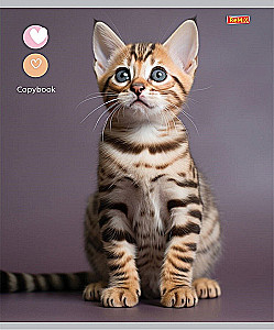 Тетрадь A5 - Маленькие котики, 48 листов, клетка, в ассортименте