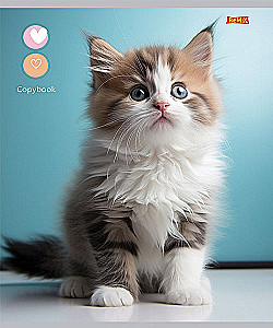 Тетрадь A5 - Маленькие котики, 48 листов, клетка, в ассортименте