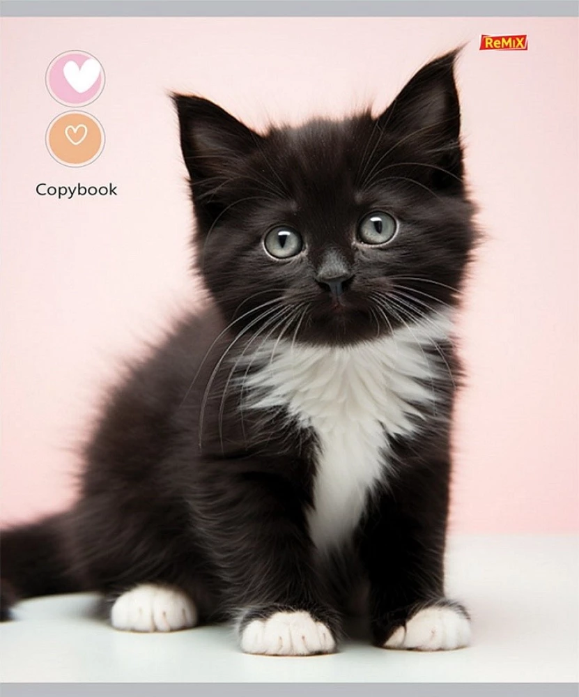 Тетрадь A5 - Маленькие котики, 48 листов, клетка, в ассортименте