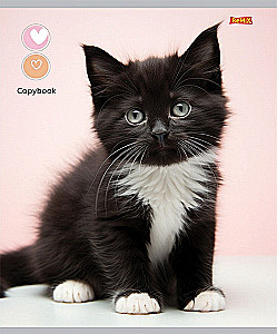 Тетрадь A5 - Маленькие котики, 48 листов, клетка, в ассортименте