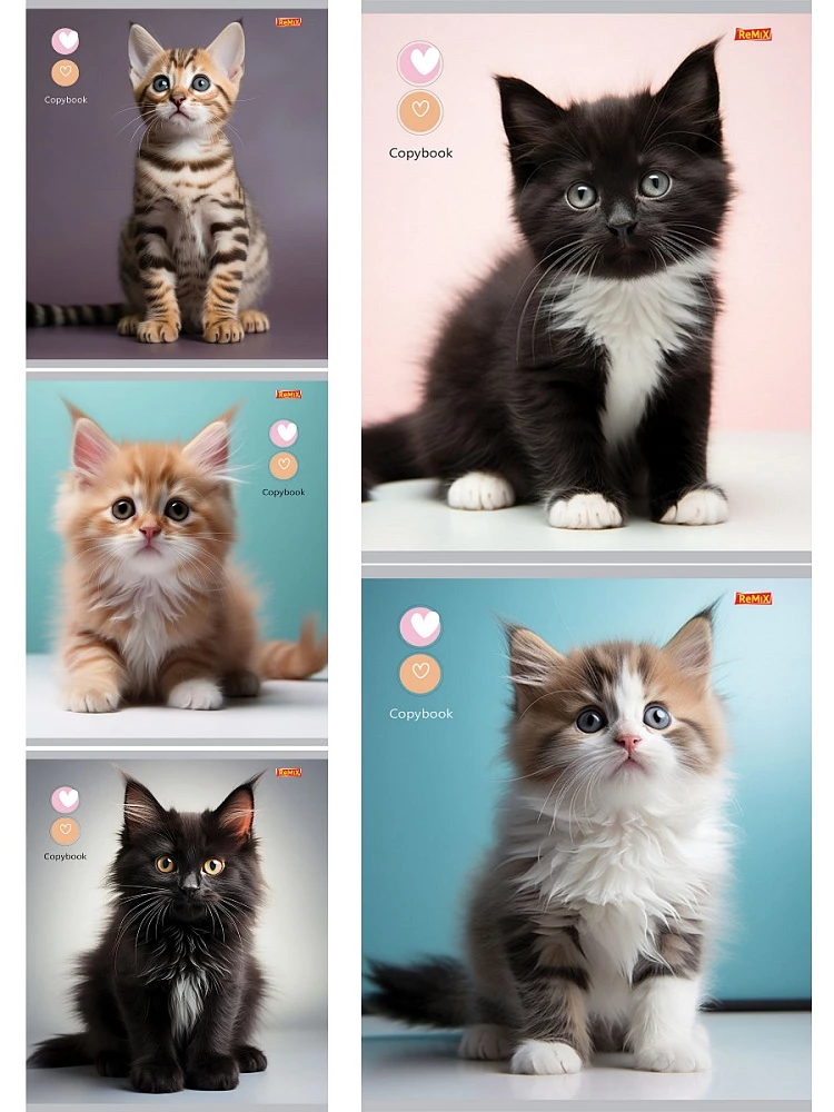 Тетрадь A5 - Маленькие котики, 48 листов, клетка, в ассортименте